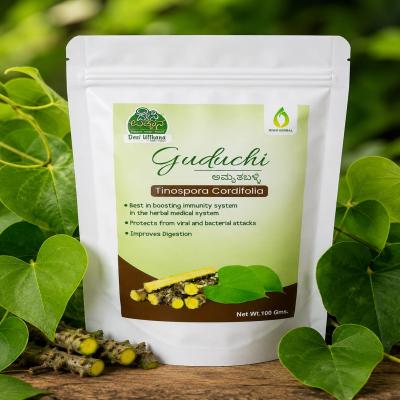 Guduchi Churna 100 grams (Amruta Balli Churna)